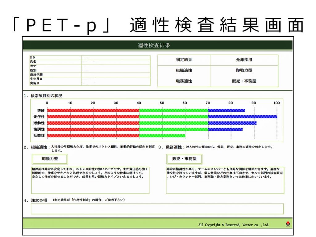 ベクトルの「PET-p」適性検査結果画面